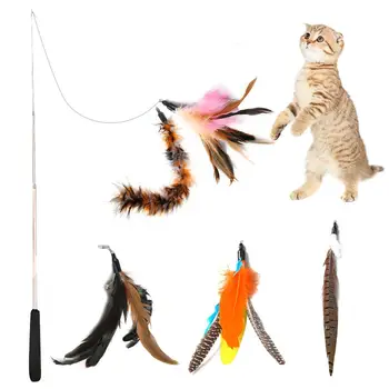 Pcsset Интерактивная игрушка для кошек с перьями, удочка для домашних животных, Выдвижные перья, забавный кошачий шест с пятью сменными головными игрушками из перьев