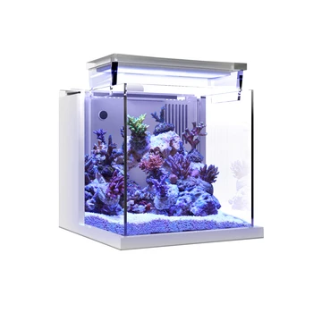 Настольный мини-акриловый аквариум MagTool Premium All-in-One объемом 0,95 галлона (3,6 л) с системой обратного фильтра и светодиодной подсветкой